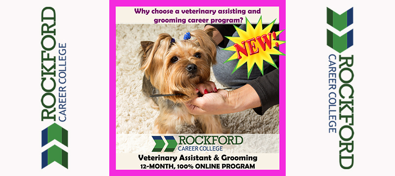 Choosing a Veterinary Assisting and Grooming Program | ROCKFORD CAREER COLLEGE