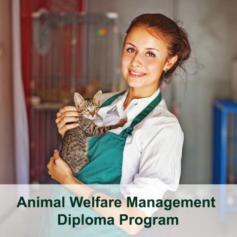 A Day in the Life: Animal Welfare Administration